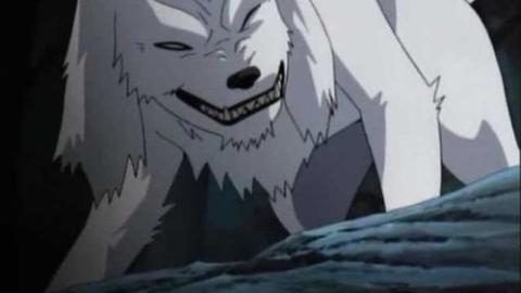 Épisode 184 – Une longue journée pour Kiba Inuzuka