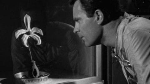 Épisode 22 – La Plante inconnue