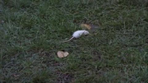 Épisode 22 – Un prof pas comme les autres