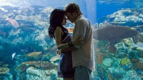 Épisode 12 – Âme sœur