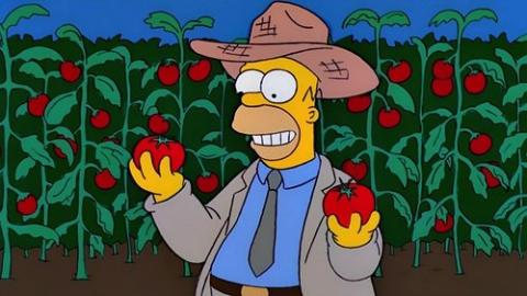 Épisode 5 – Une récolte d'enfer