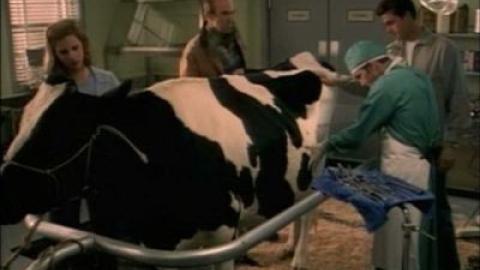 Épisode 6 – Inhumain