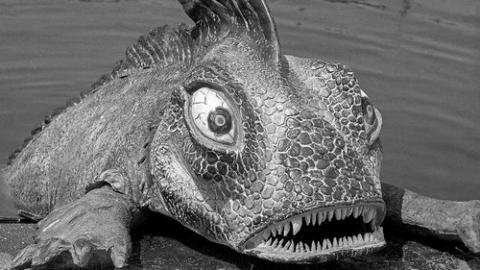 Épisode 13 – Attraction pour touristes