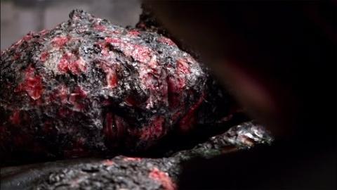 Épisode 6 – In Vitro Veritas