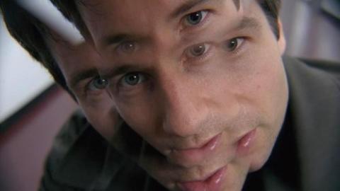 Épisode 12 – La Guerre des coprophages