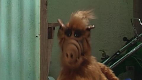 Épisode 15 – Pardon, tonton Albert