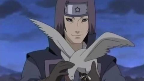 Épisode 180 – L'adresse du paon dédommagé