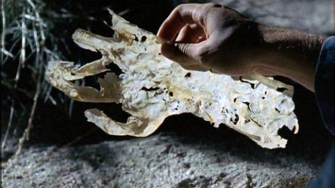 Épisode 1 – Cadmium-X