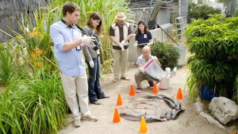 Épisode 4 – Les Chevaux de l'apocalypse