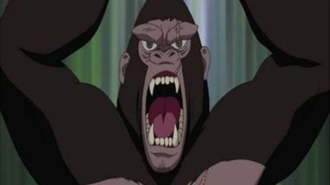 Épisode 243 – Débarquement ! Île paradisiaque ?