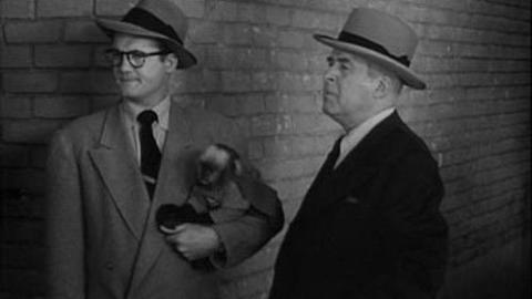 Épisode 5 – Le mystère du singe