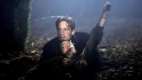 Épisode 9 – Schizogonie