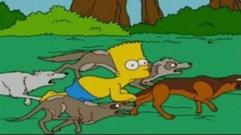 Épisode 11 – Qui s'y frotte s'y pique