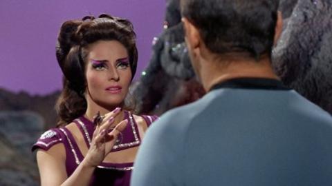 Épisode 17 – Les Survivants