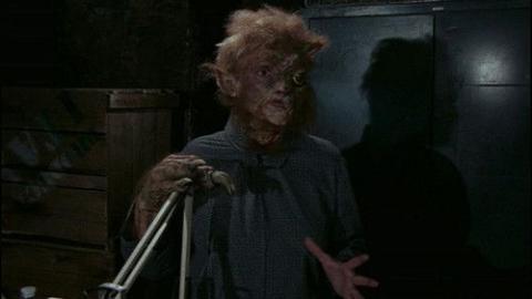 Épisode 6 – Le miaulement du chat (2)