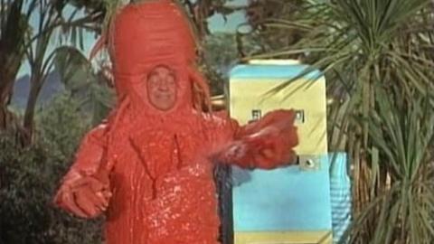 Épisode 23 – La grande rébellion des plantes