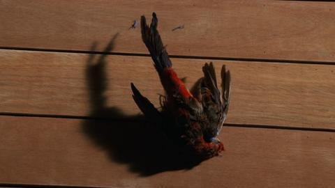 Épisode 14 – Au nom du fils