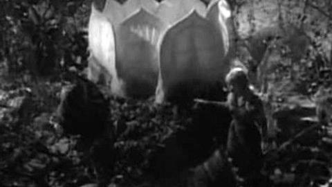 Épisode 14 – L'attaque des plantes géantes