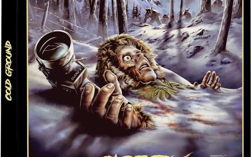 Concours Cold Ground : 2 DVD à gagner