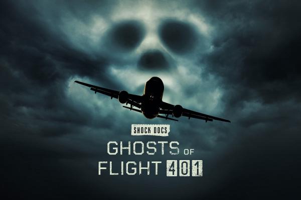 Le Dossier du vol 401