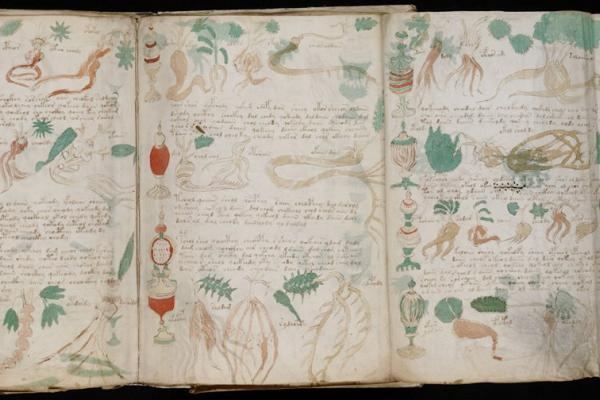 Le Dossier du Manuscrit de Voynich