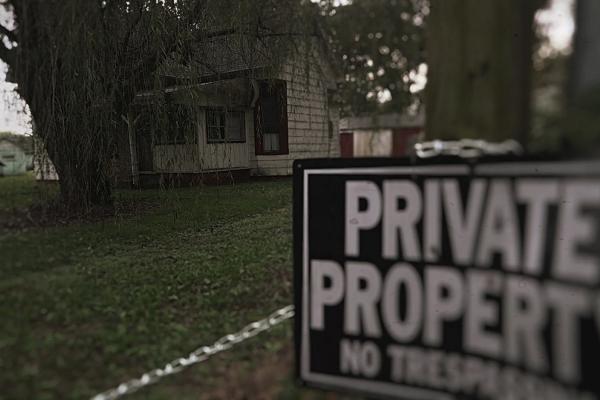 Le Dossier Willows Weep