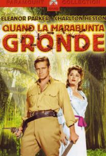 Quand la Marabunta gronde