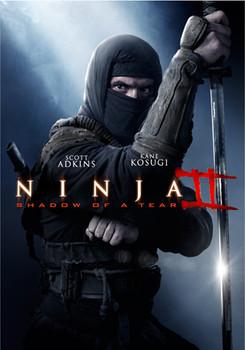 Ninja 2 : Shadow of a Tear