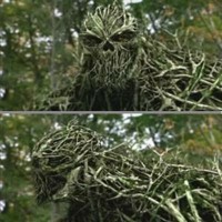 Le Monstre des Marais