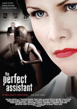 Une Assistante presque Parfaite - Perfect Assistant
