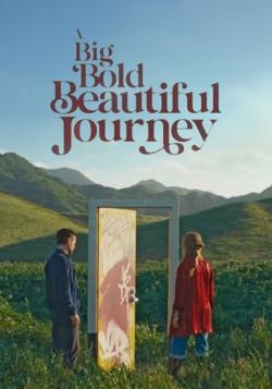 A Big Bold Beautiful Journey