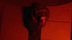 Amityville Turkey Day