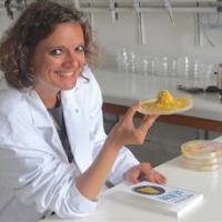 Le Blob: Un Génie Sans Cerveau 