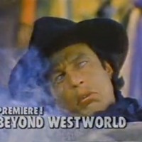 Beyond Westworld