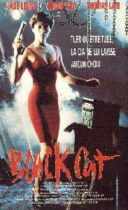 Black Cat