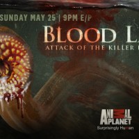 Blood Lake: Attack of the Killer Lampreys