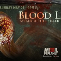 Blood Lake: Attack of the Killer Lampreys