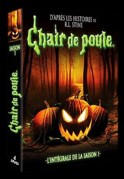 Chair de poule
