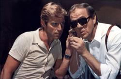 Le Chat à Neuf Queues