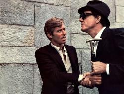 Le Chat à Neuf Queues