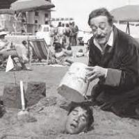 What Ever Happened to Baby Toto?