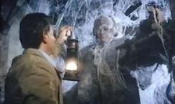 La Malédiction de la Veuve Noire