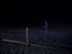 La Nuit de l'Épouvantail