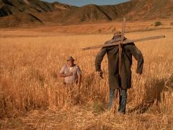 La Nuit de l'Épouvantail