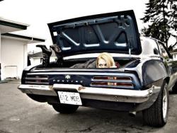 Dead Hooker in a Trunk