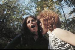  La Dernière maison sur la gauche