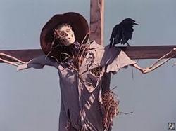 Disciples of the Crow