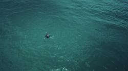 Instinct de survie : l'océan de la peur