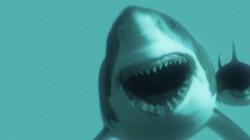 Instinct de survie : l'océan de la peur