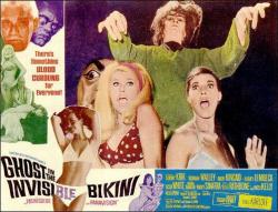 The Ghost in the Invisible Bikini
